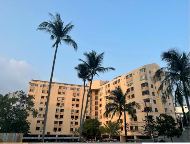 Condos: Beachside Retreat With Smart Amenities Apartment